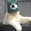 thecasualpainter1