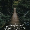 noor_558877