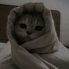 meowmeow_6446