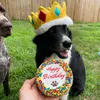 pawferctlyawesome