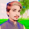 s.h.malik.husnain