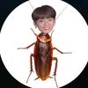 user8330443242358