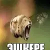 valk_993