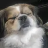 marcelkranc