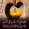 om.mohamed0627