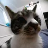 unemployedbum01