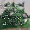 ashfaq.ashfaq11