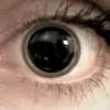 l_s_d_4.20