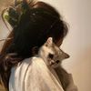 1catl0ver