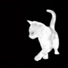 gatitomoranguinho