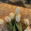 ayoush_816