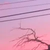 thathay_f