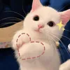 pttncuti2