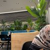 mayar.aa63