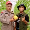 ILMANSYAH