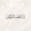 prenses347.0