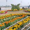 soniyaislam6700