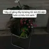 tngvy562