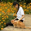hongse12thang_07