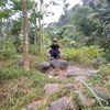 hakim1234t