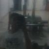 zainssxx0