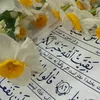 user8039802074262