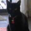 charlie06023