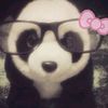 .nisa_ipad