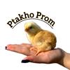 ptakho_prom_23