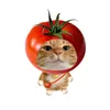dng.th.dung58