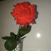 candidalopez27