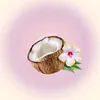 coconutxcs