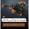 ommana8462