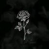 hanen.elhoia