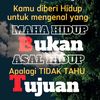 bodong8i