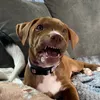 that_bully_river