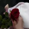 zahraahussain781