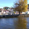 xrusanthiapalidou