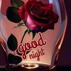 user594617215718