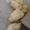 brendabigailmghotmail.co