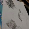 renaa_arttt
