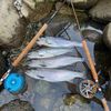 imakesalmonbite
