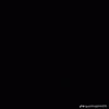 linhdan_747