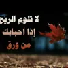s_ffi5