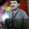 farhadsalhrasty