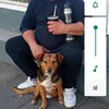 hctordenis