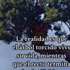 lorenzomartnez60