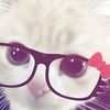nita_awq