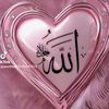 user668079230007519