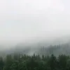 opgurjsd